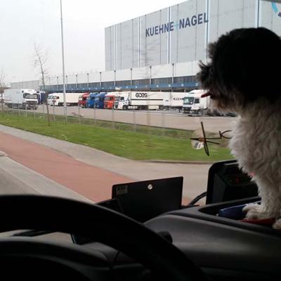 Samen Op Pad